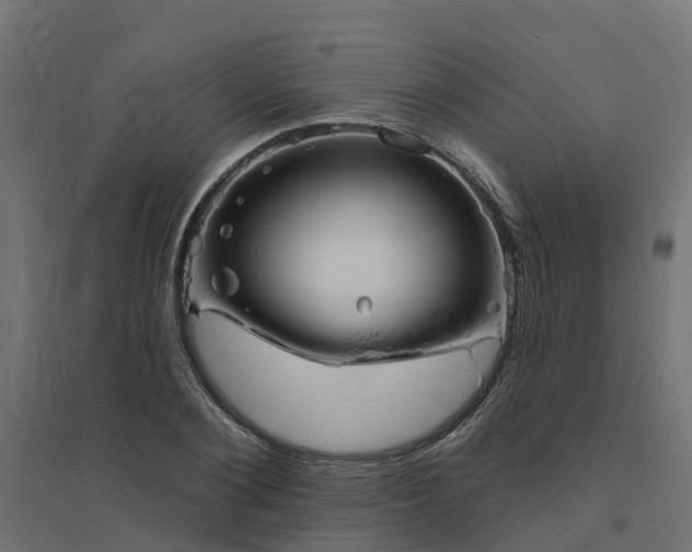 X0000094790884200711241359