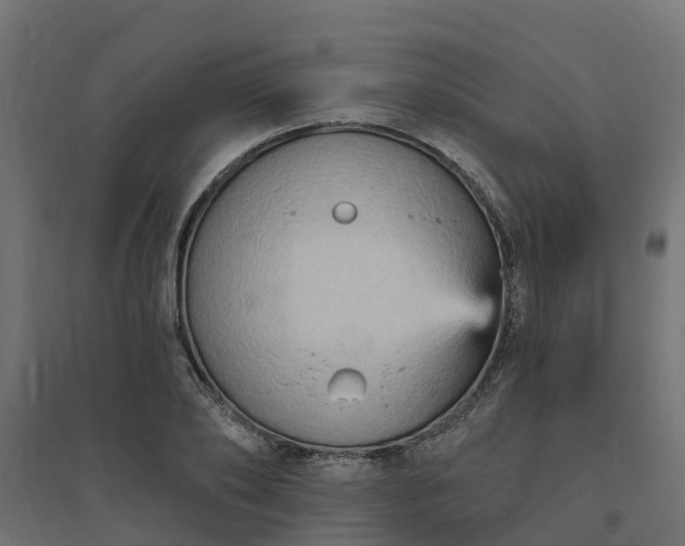 X0000094790886200711241359