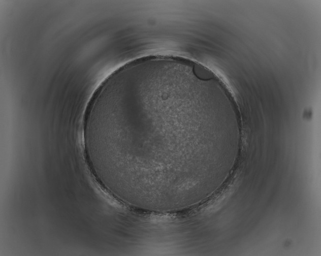 X0000094790887200711241359