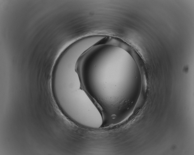 X0000094790888200711241359