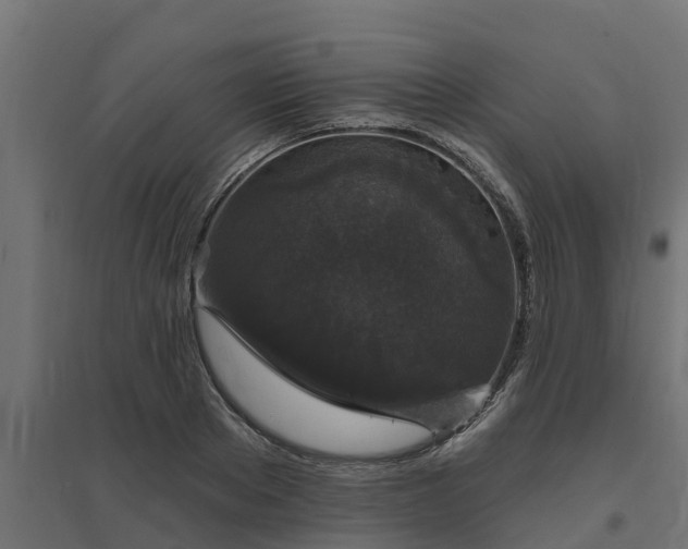 X0000094790889200711241359