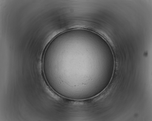 X0000094790890200711241359