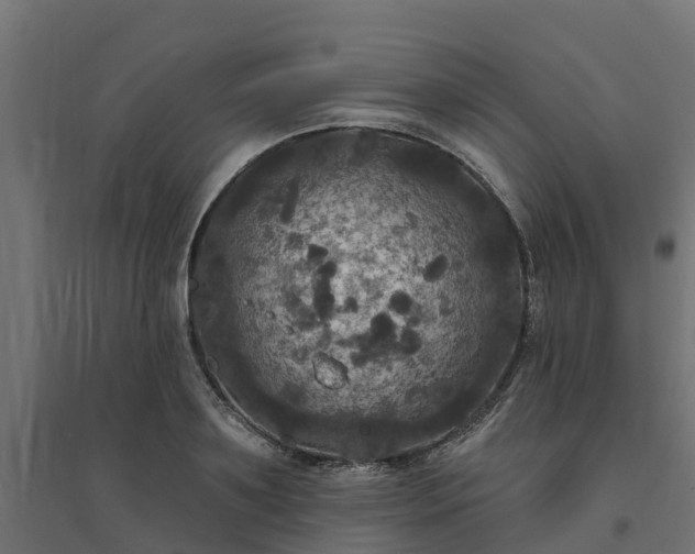 X0000094790891200711241359