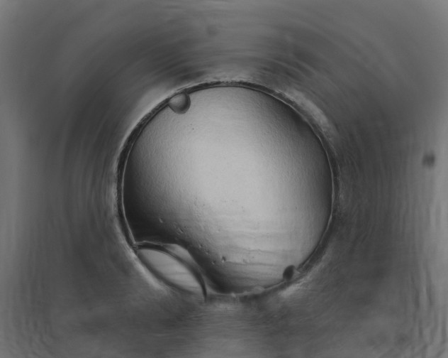 X0000094790894200711241359