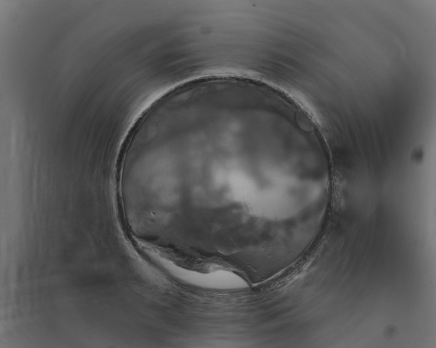 X0000094790895200711241359