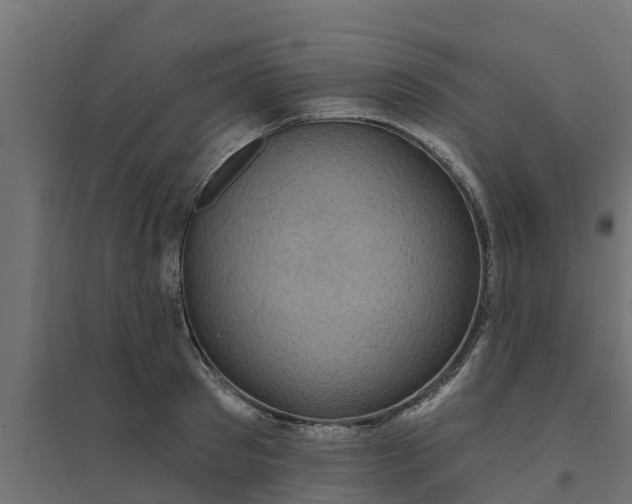 X0000094790897200711241359