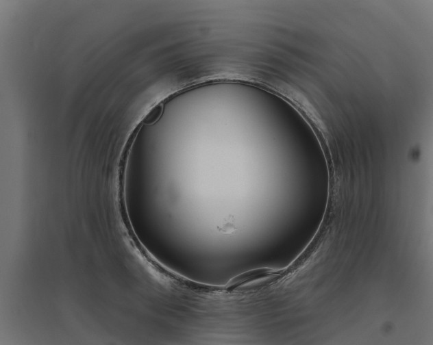 X0000094790898200711241359