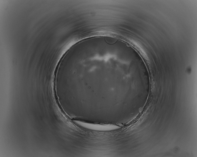 X0000094790899200711241359