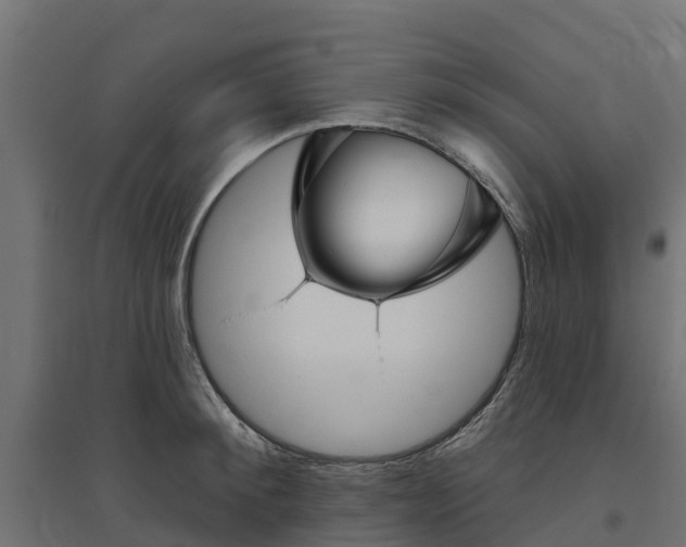 X0000094790900200711241359