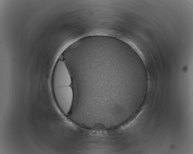 X0000094790901200711241359