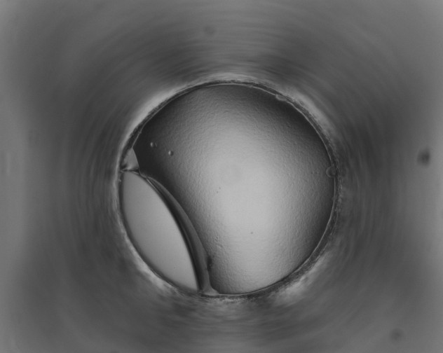 X0000094790902200711241359