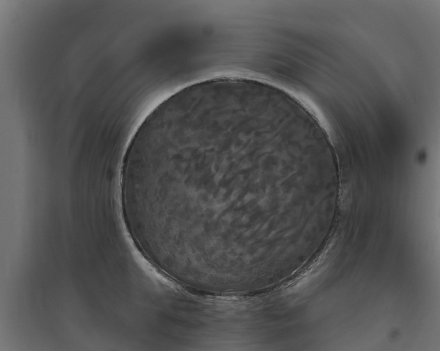 X0000094790903200711241359