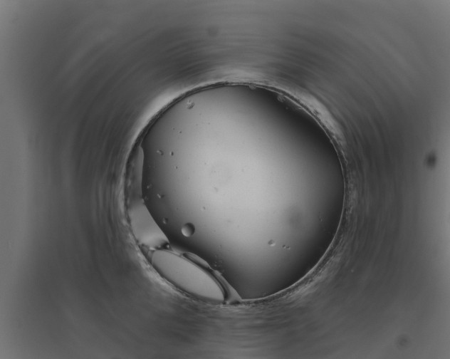 X0000094790904200711241359