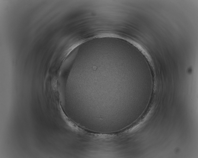 X0000094790905200711241359