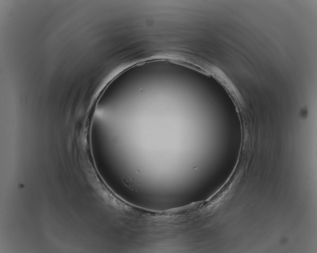 X0000094790908200711241359