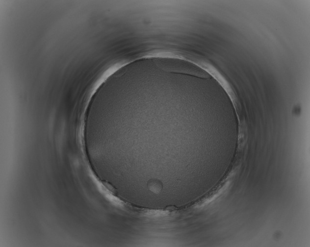 X0000094790909200711241359