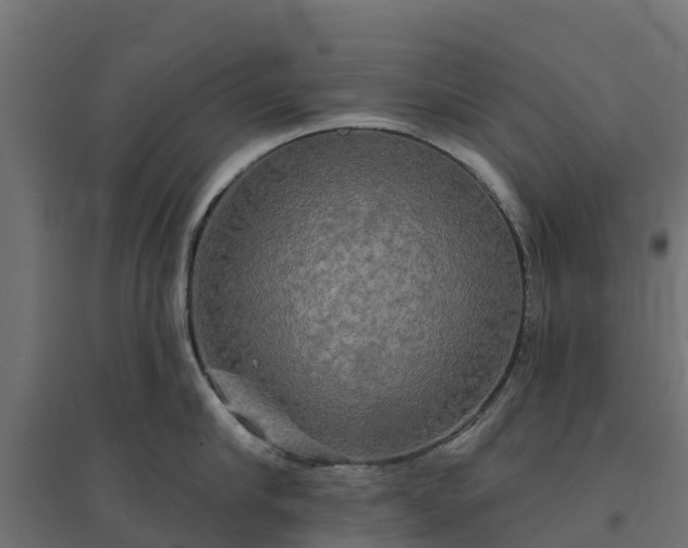 X0000094790910200711241359