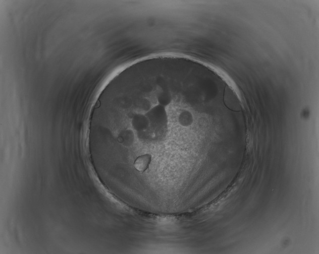 X0000094790911200711241359