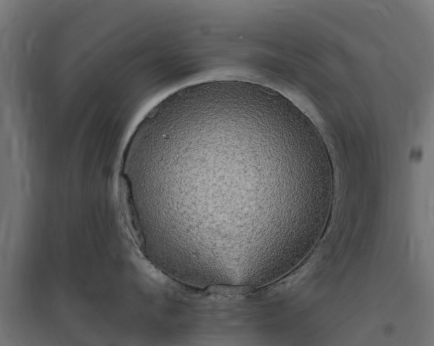 X0000094790912200711241359