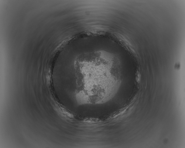 X0000094790915200711241358