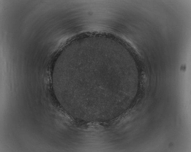 X0000094790918200711241358