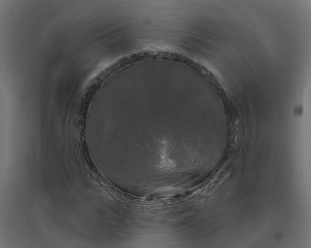 X0000094790919200711241358