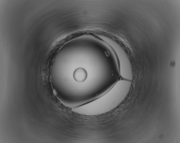 X0000094790920200711241358