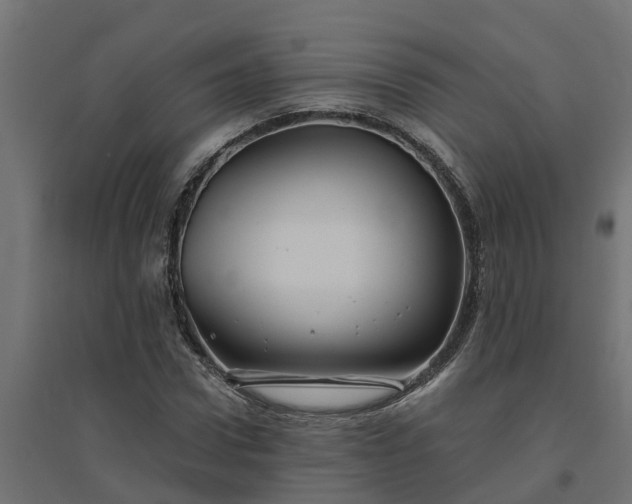 X0000094790922200711241358