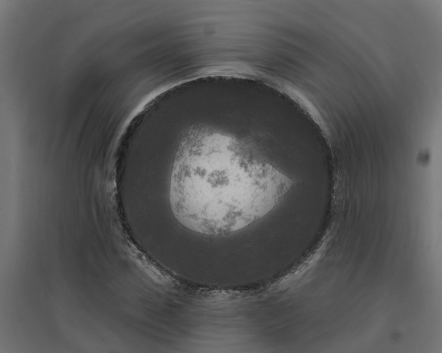 X0000094790923200711241358