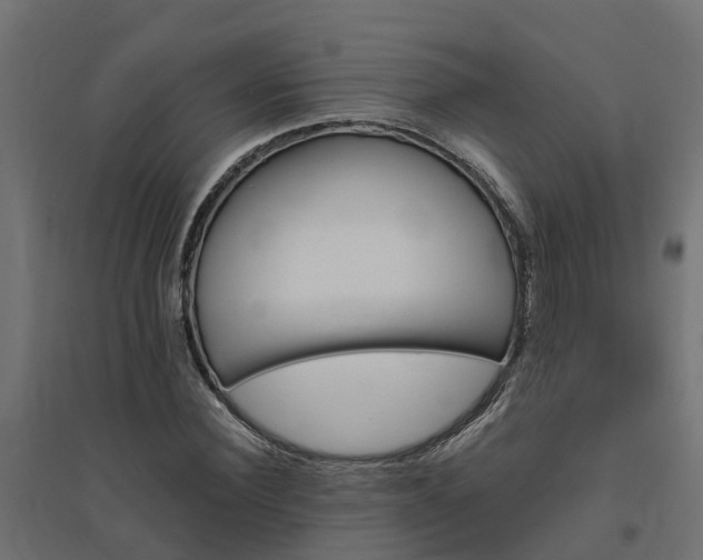 X0000094790924200711241358