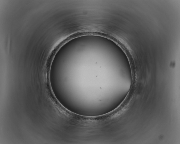 X0000094790925200711241358