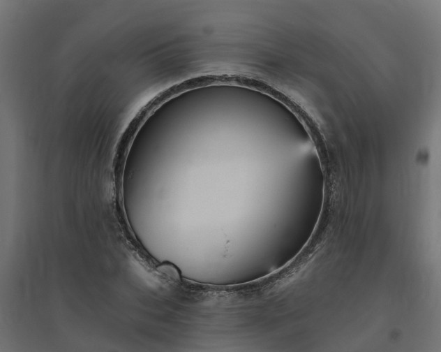 X0000094790927200711241358