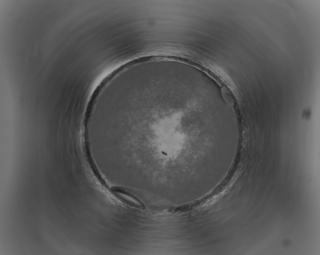 X0000094790928200711241358