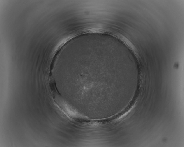 X0000094790930200711241358