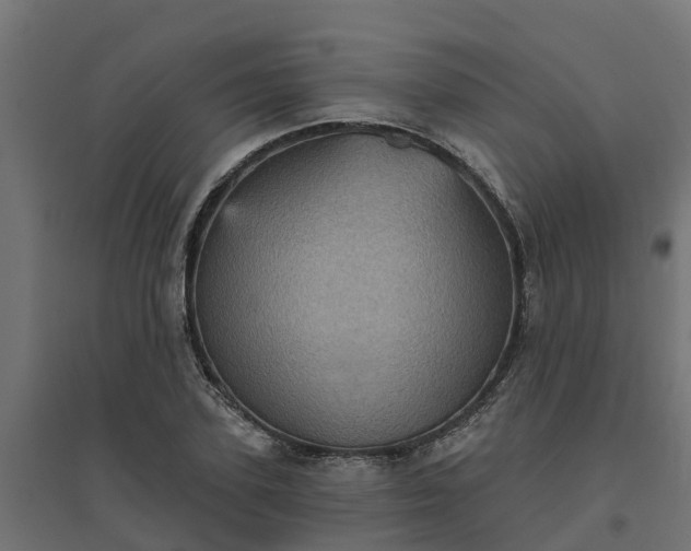 X0000094790931200711241358