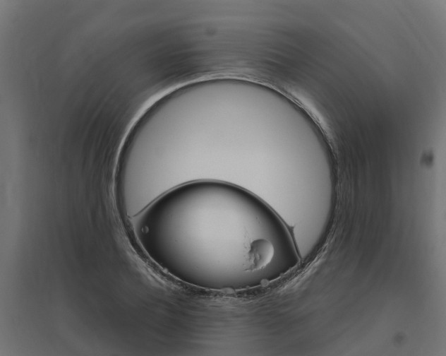 X0000094790932200711241358