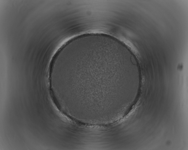 X0000094790934200711241358