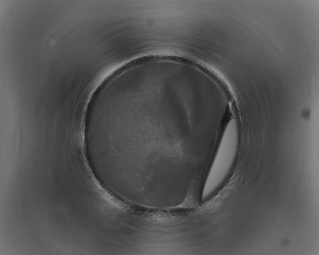 X0000094790935200711241358