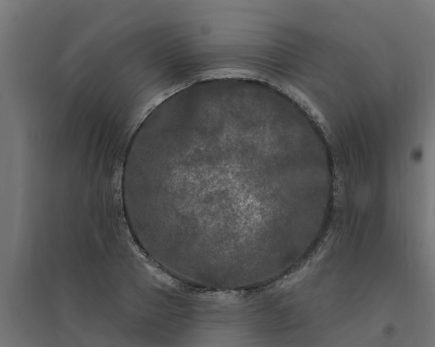 X0000094790937200711241358