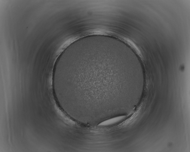 X0000094790938200711241358