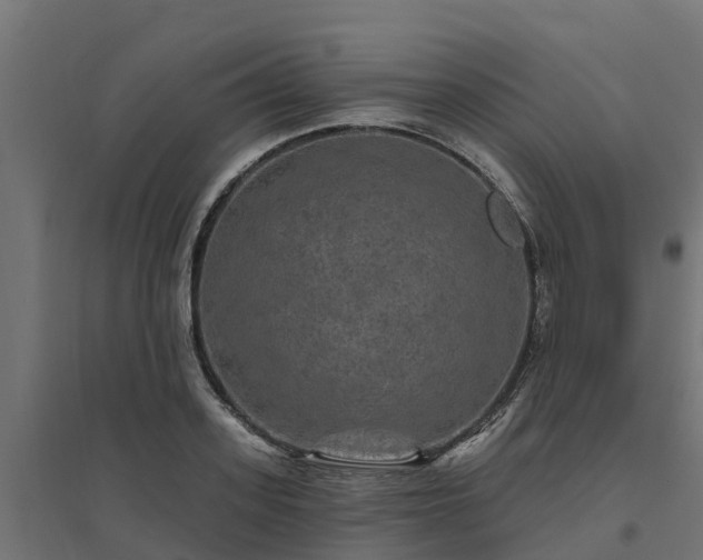 X0000094790939200711241358