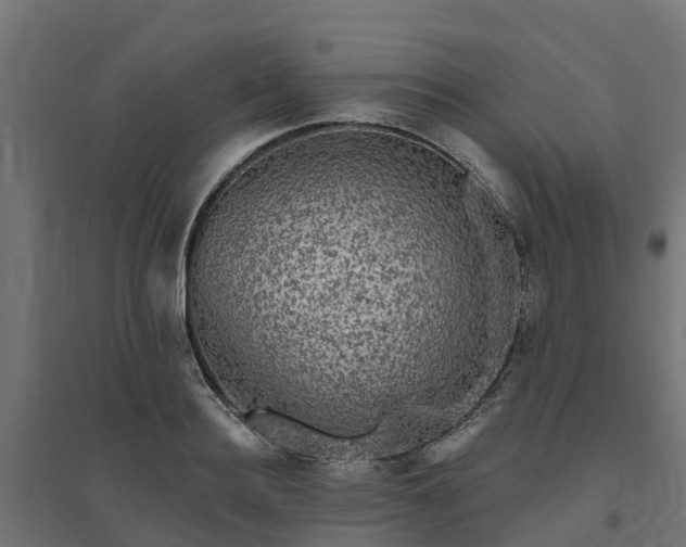 X0000094790940200711241358