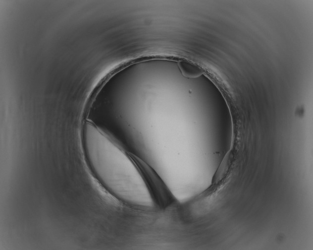 X0000094790942200711241359