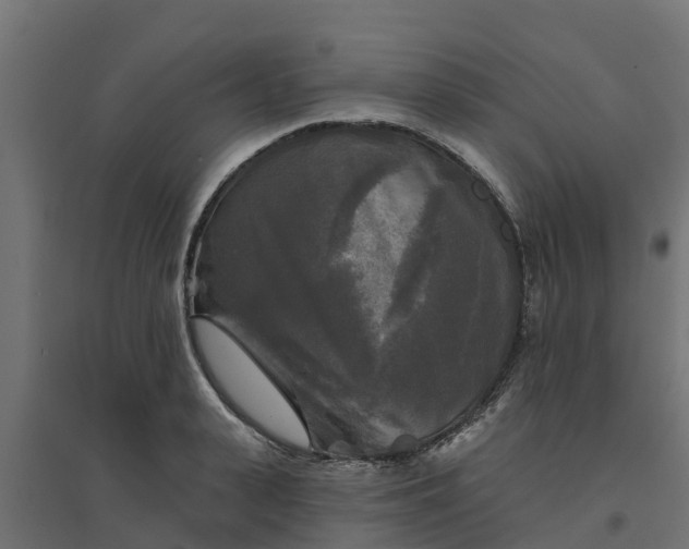 X0000094790943200711241359