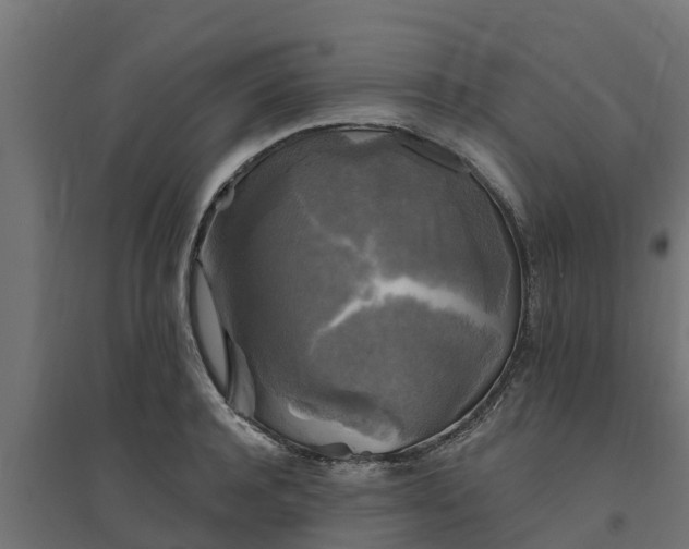 X0000094790944200711241359