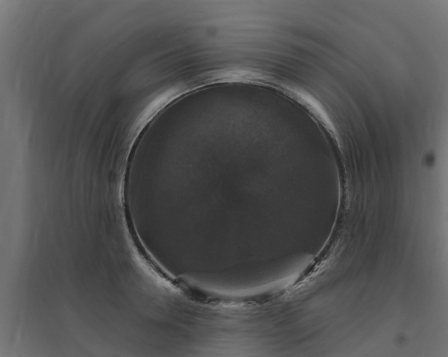 X0000094790946200711241359