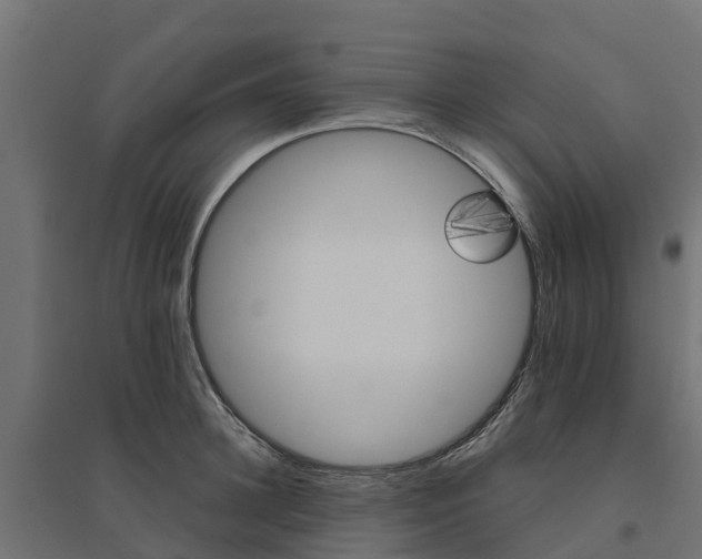 X0000094790948200711241359