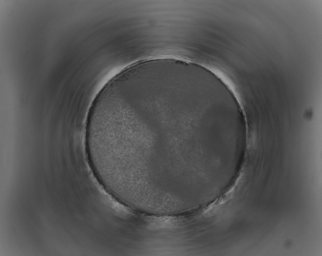 X0000094790949200711241359