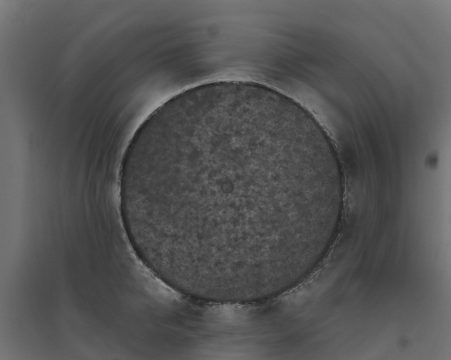 X0000094790950200711241359