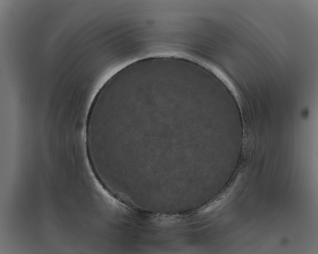 X0000094790951200711241359